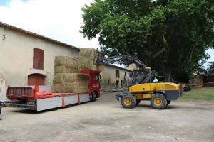 Camion adapté au transport de foin