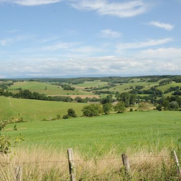 Terroir de foin dans la Drôme