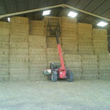 Stock de paille de blé