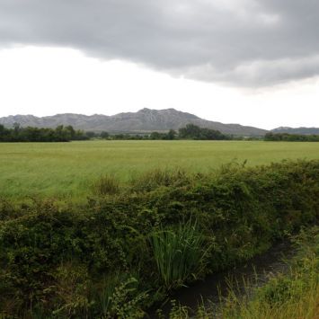 Le foin de Crau bénéficie d'un réseau d'irrigation