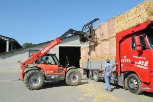 Chargement mixte de foin et de paille