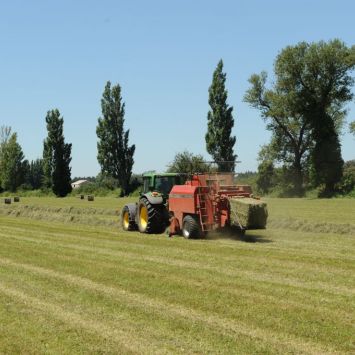 Conditionnement du foin de Crau en grosses bottes