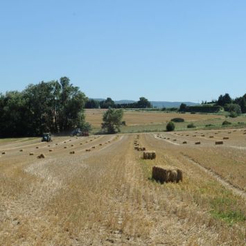 2. Recolte de paille dans le sud de la Drome.JPG