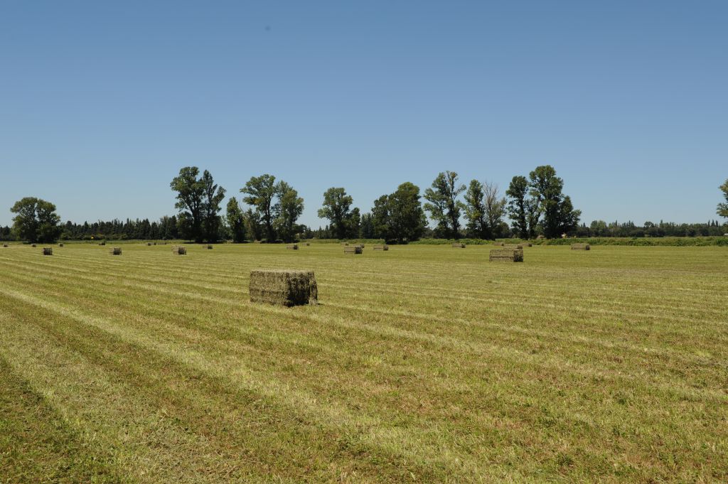 Vente & achat de foin de Crau - Etablissements DIÉ