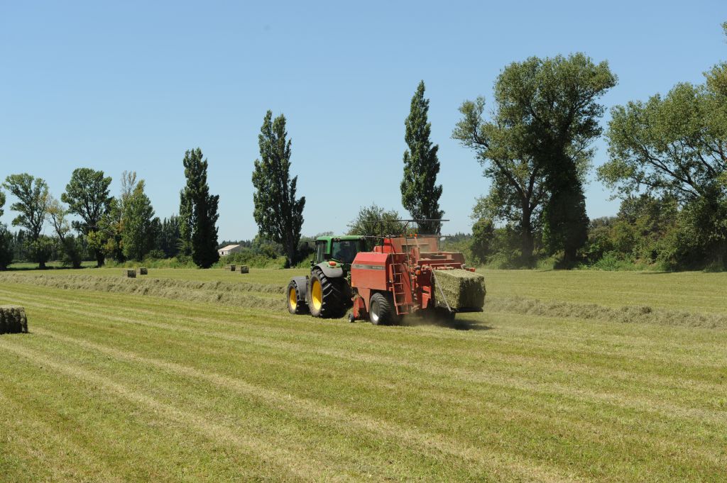 Vente & achat de foin de Crau - Etablissements DIÉ