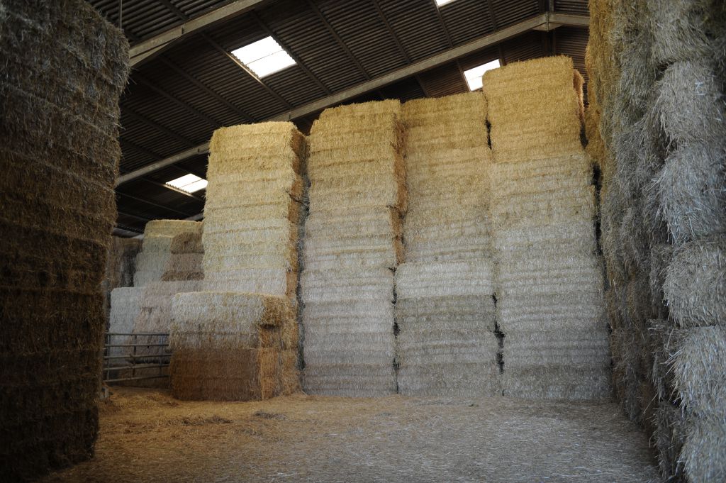 Litière En Paille Bio 10 Kg - Dépoussiérée, Absorbante, Pour Lapins, Poules, Chevaux, Rongeurs, Isolante Thermique